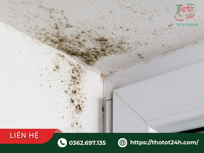 Góc tường bị rêu mốc đen do thấm đọng nước là dấu hiệu nhà bị dột nặng cần áp dụng cách kiểm tra trước mùa mưa