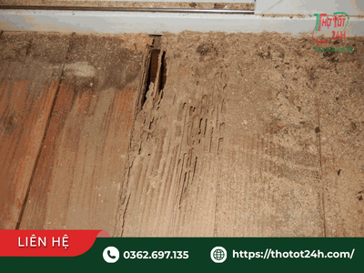 Bề mặt đồ gỗ bị mối mọt đục rỗng và hướng dẫn cách xử lý đồ gỗ bị mối mọt tại nhà hiệu quả