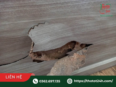 Tình trạng đồ gỗ bị mối mọt ăn mục rỗng kết cấu cần áp dụng đúng cách xử lý đồ gỗ bị mối mọt hoặc nhờ thợ chuyên môn gia cố lại