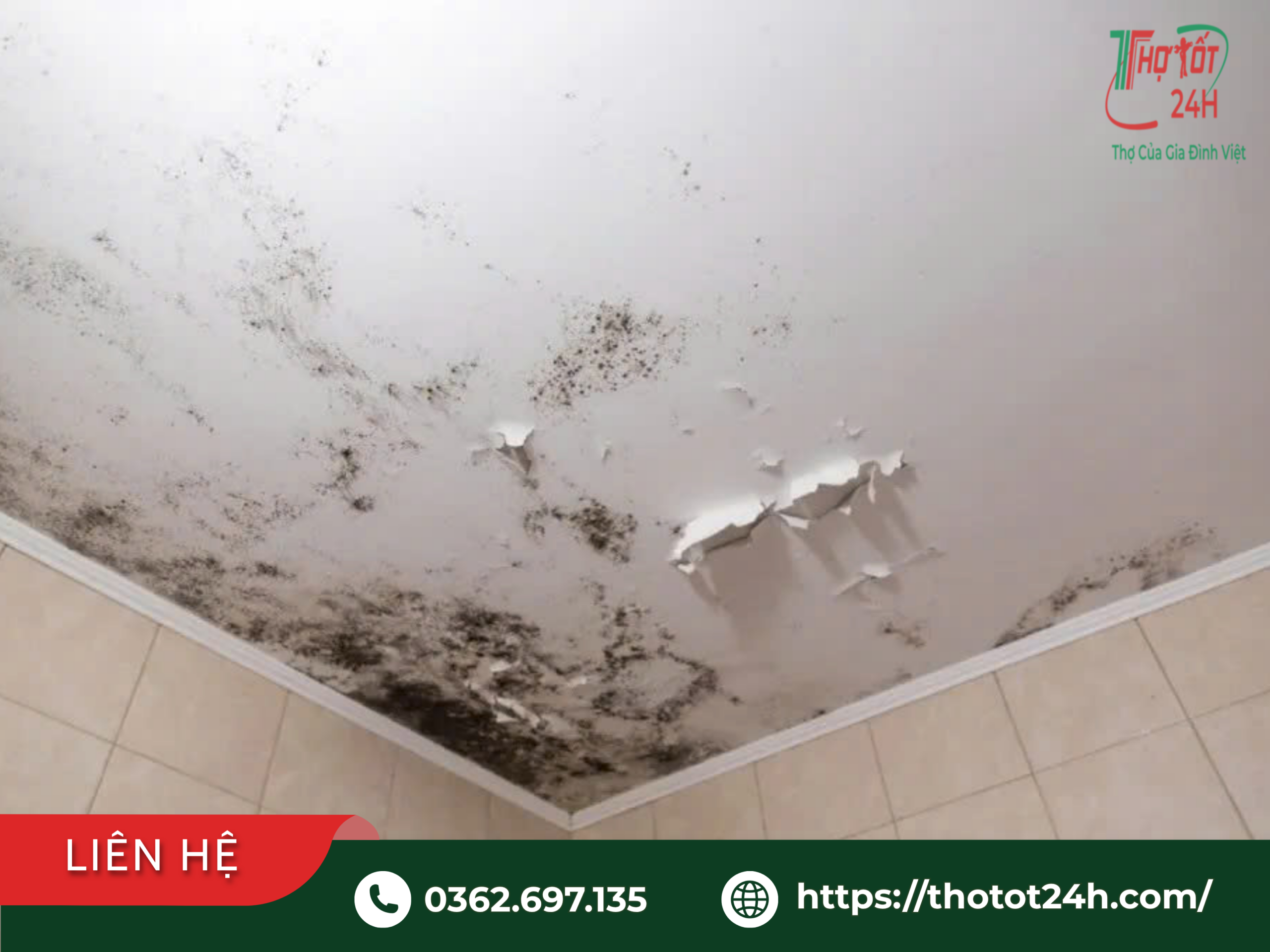 Trần nhà bị thấm nước ố vàng, mốc đen và bong tróc sơn do rò rỉ nhà vệ sinh tầng trên tại Bình Dương