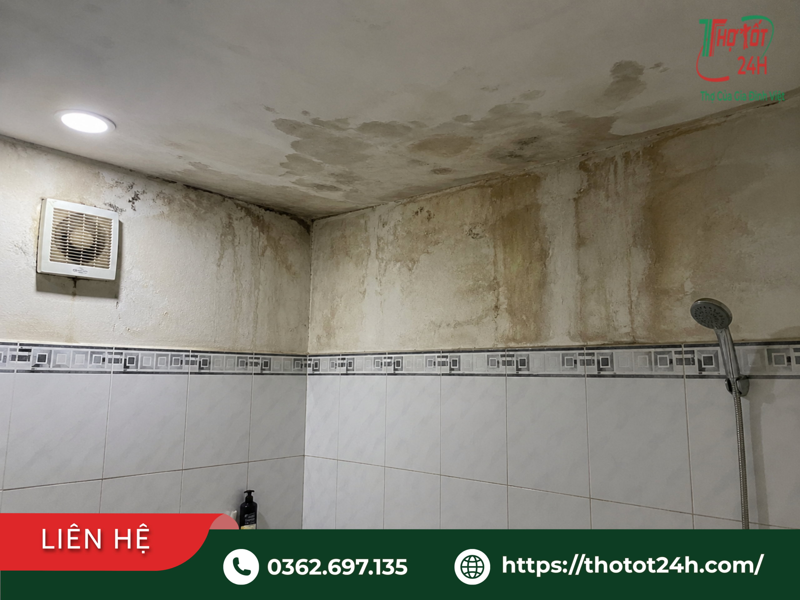 Khảo sát tường và trần nhà vệ sinh phòng trọ bị ố vàng, mốc nặng do ngấm nước lâu ngày