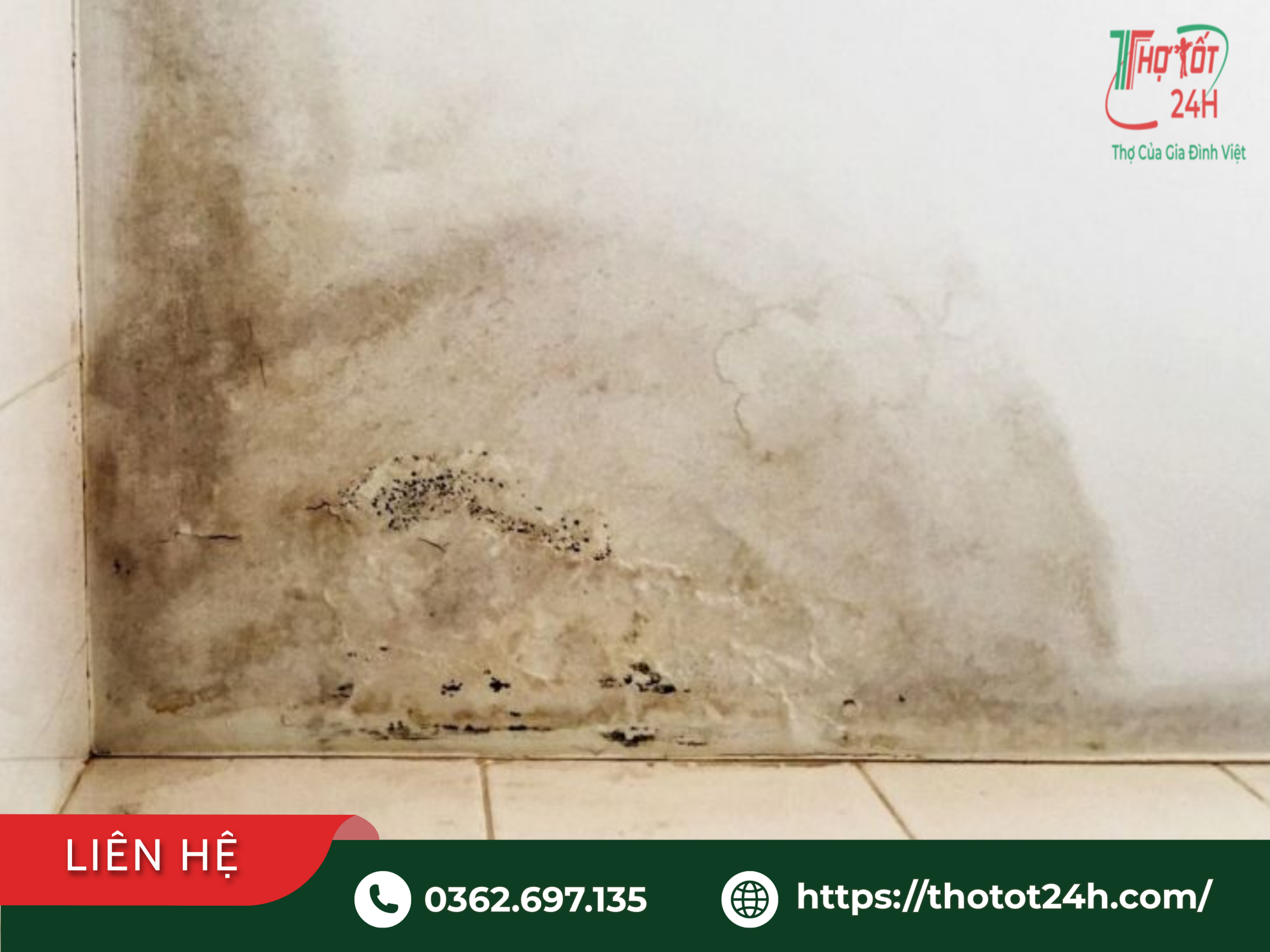 Chân tường nhà vệ sinh bị ẩm mốc, bong tróc sơn gây ra mùi hôi do nước ngấm kéo dài