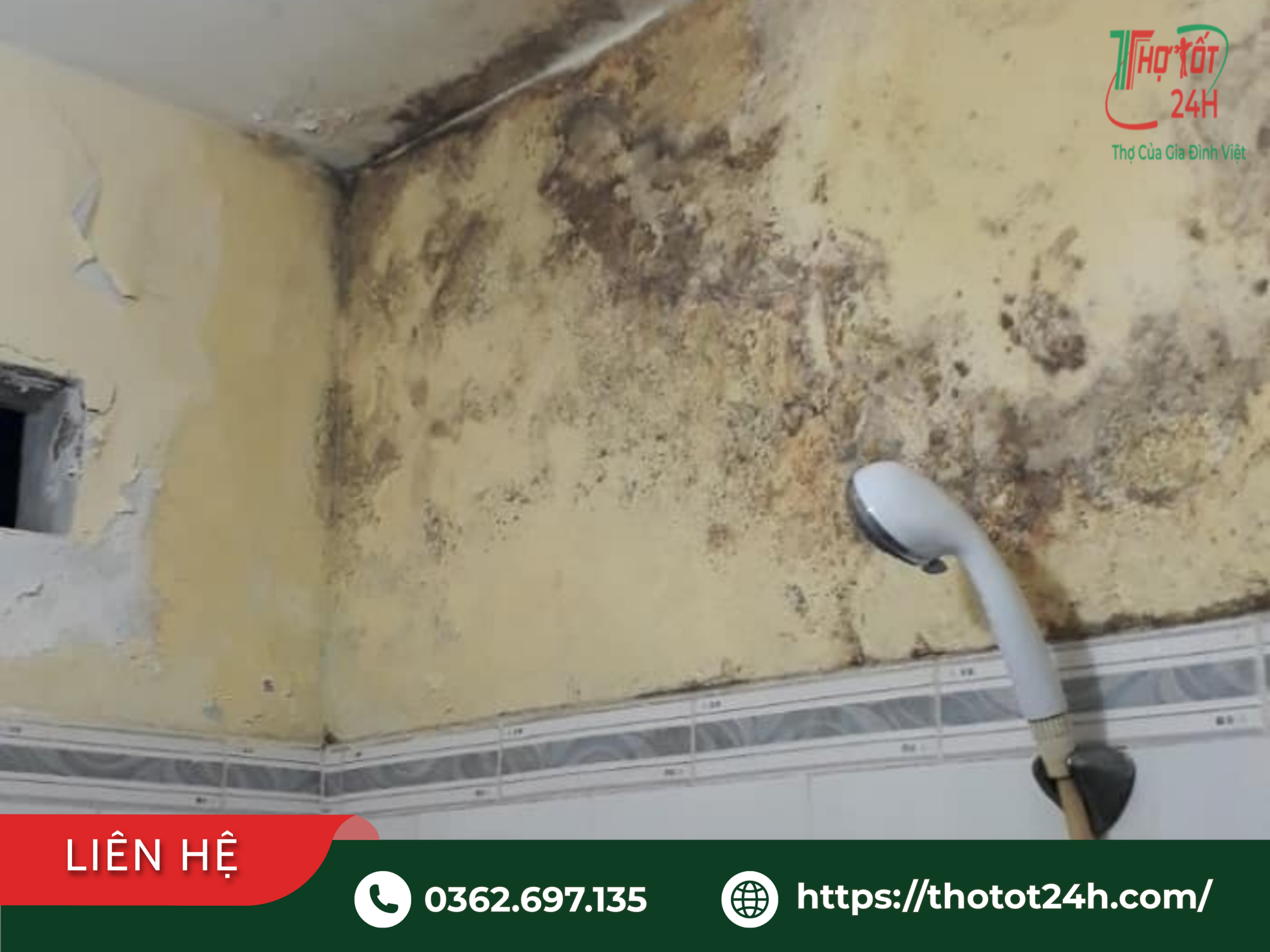 Tình trạng tường nhà vệ sinh bị ẩm mốc nặng do tự chống thấm nhà vệ sinh sai kỹ thuật hoặc sai nguồn thấm.